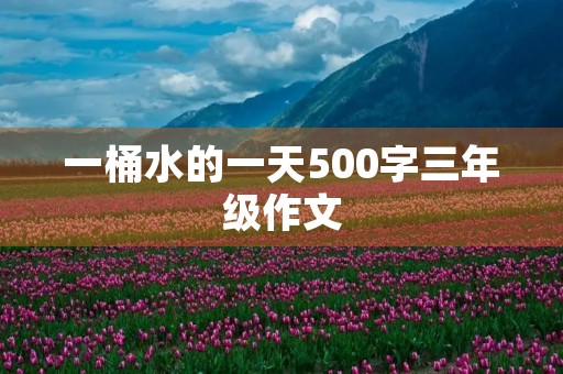 一桶水的一天500字三年级作文 一桶水的一天500字三年级作文