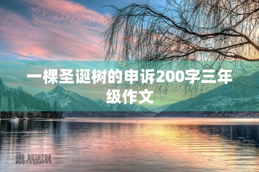 一棵圣诞树的申诉200字三年级作文 一棵圣诞树的申诉200字三年级作文