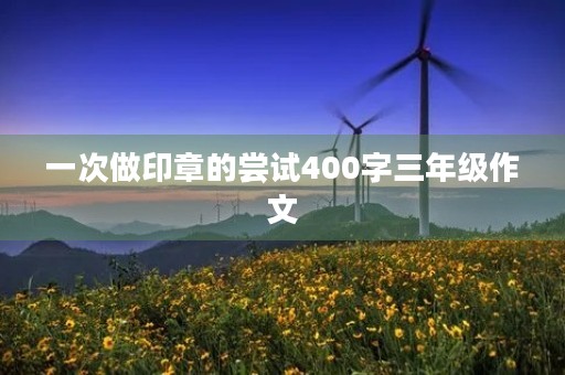 一次做印章的尝试400字三年级作文