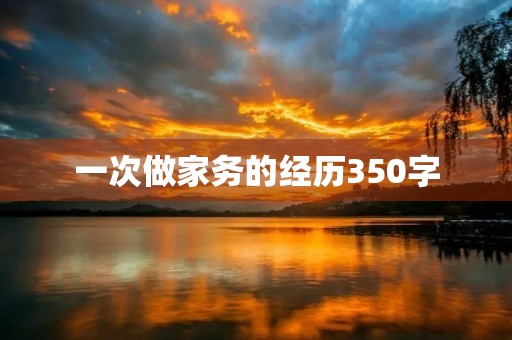 一次做家务的经历350字