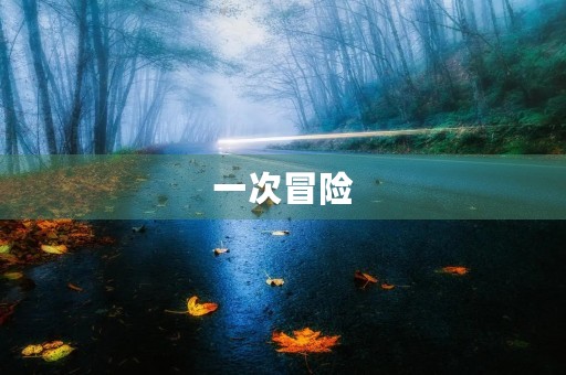 一次冒险 一次冒险