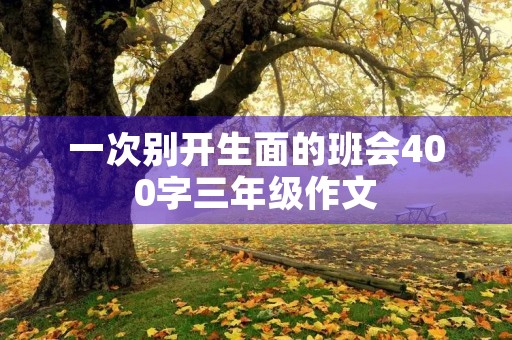 一次别开生面的班会400字三年级作文