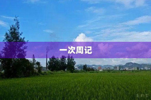 一次周记