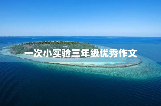 一次小实验三年级优秀作文 一次小实验三年级优秀作文