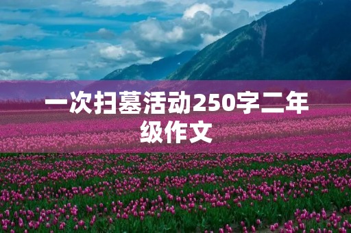 一次扫墓活动250字二年级作文 一次扫墓活动250字二年级作文