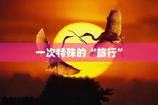一次特殊的“旅行” 一次特殊的“旅行”