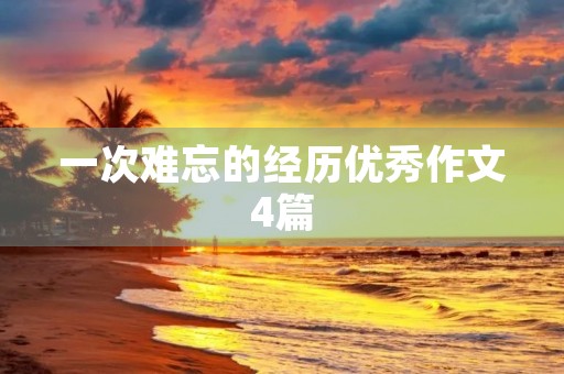 一次难忘的经历优秀作文4篇