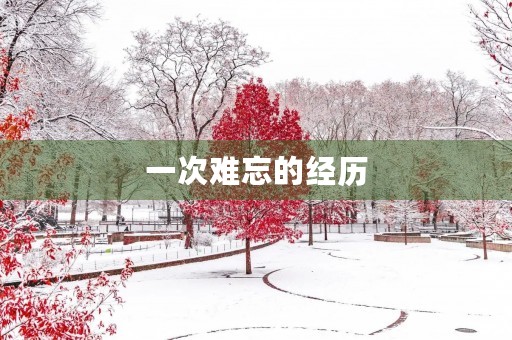 一次难忘的经历