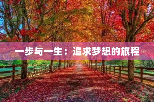 一步与一生：追求梦想的旅程