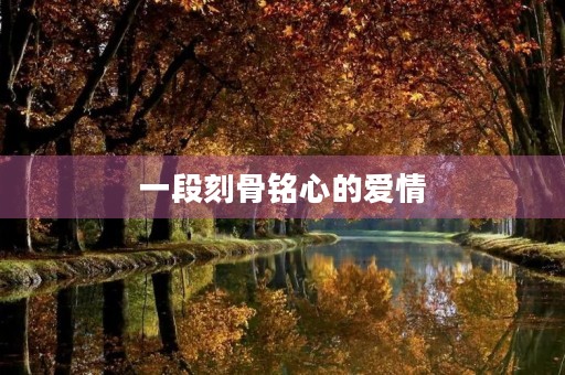 一段刻骨铭心的爱情，让我伤感不已
