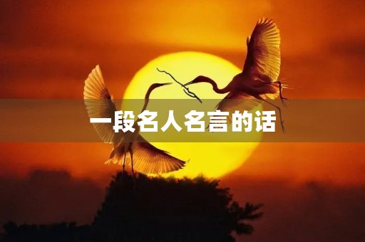 一段名人名言的话(一段名人名言的话怎么写)