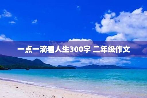 一点一滴看人生300字 二年级作文