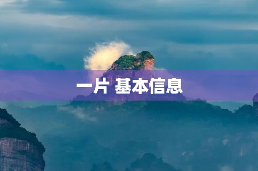 一片 基本信息(拼音、读音等)(一片的拼音)