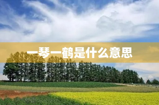 一琴一鹤是什么意思 一琴一鹤是什么意思