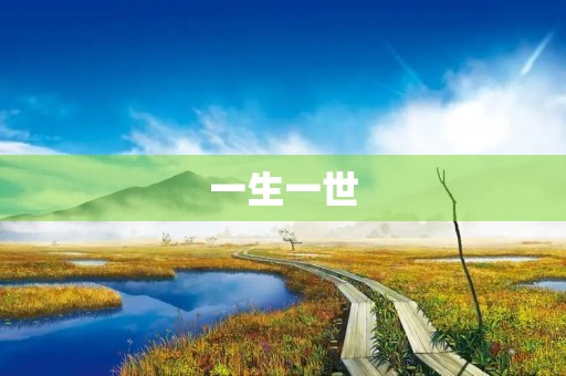 一生一世，只爱你