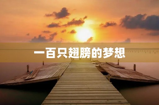 一百只翅膀的梦想
