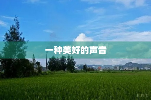 一种美好的声音 一种美好的声音