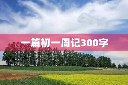 一篇初一周记300字