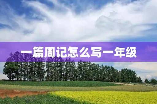 一篇周记怎么写一年级