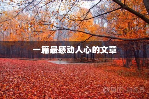 一篇最感动人心的文章 一篇最感动人心的文章