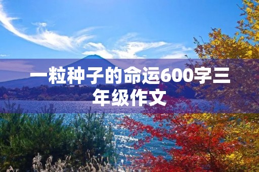一粒种子的命运600字三年级作文