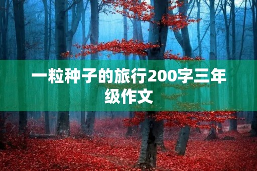 一粒种子的旅行200字三年级作文 一粒种子的旅行200字三年级作文