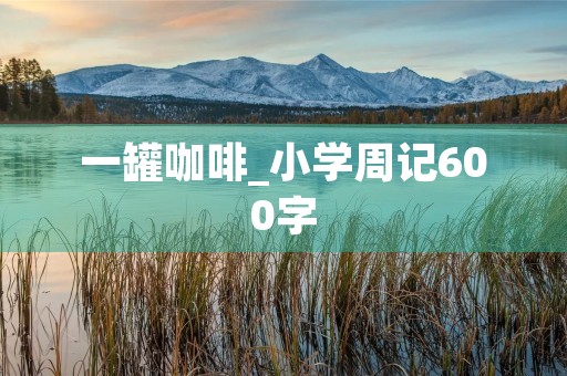 一罐咖啡_小学周记600字
