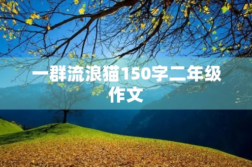 一群流浪猫150字二年级作文