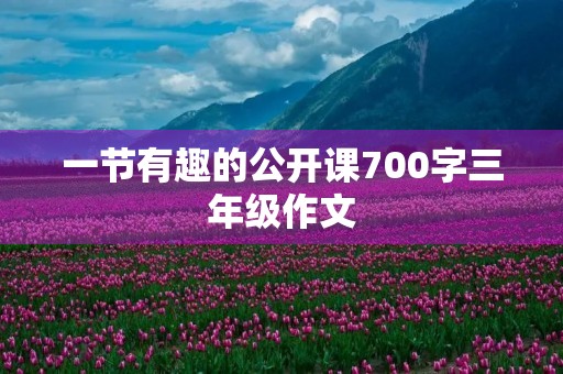 一节有趣的公开课700字三年级作文