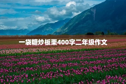 一袋糖炒板栗400字二年级作文
