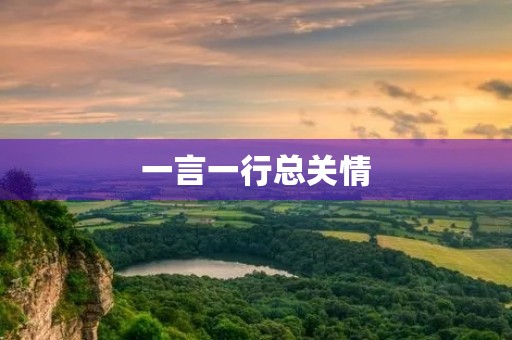 一言一行总关情 一言一行总关情