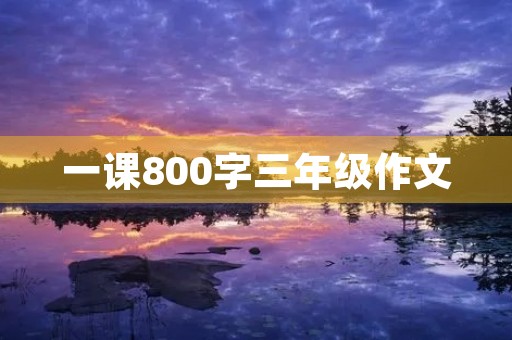 一课800字三年级作文 一课800字三年级作文