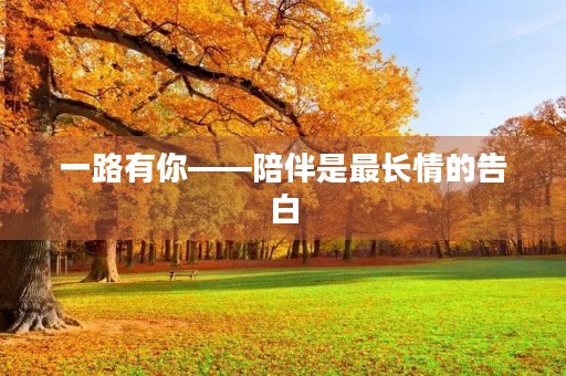 一路有你——陪伴是最长情的告白