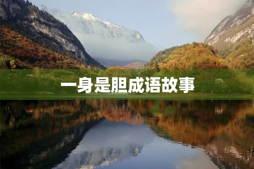 一身是胆成语故事 一身是胆成语故事
