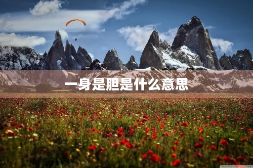 一身是胆是什么意思