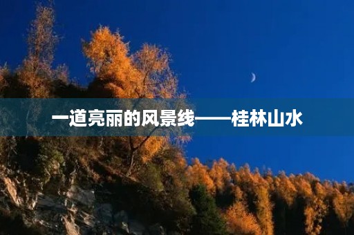 一道亮丽的风景线——桂林山水 一道亮丽的风景线——桂林山水