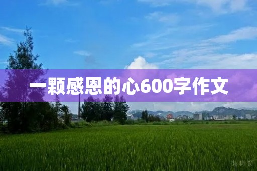 一颗感恩的心600字作文