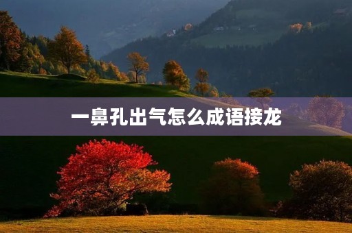 一鼻孔出气怎么成语接龙