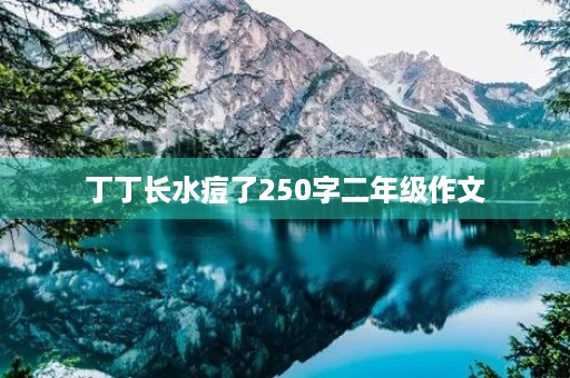 丁丁长水痘了250字二年级作文
