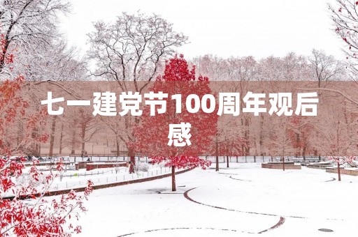 七一建党节100周年观后感