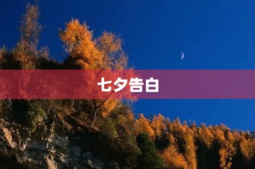 七夕告白，让爱情绽放