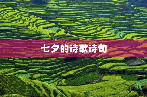 七夕的诗歌诗句 七夕的诗歌诗句
