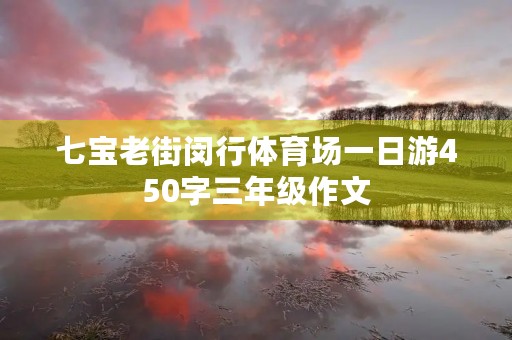 七宝老街闵行体育场一日游450字三年级作文