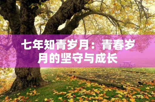 七年知青岁月:青春岁月的坚守与成长 七年知青岁月:青春岁月的坚守与成长