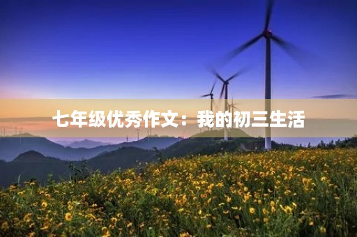 七年级优秀作文:我的初三生活 七年级优秀作文:我的初三生活