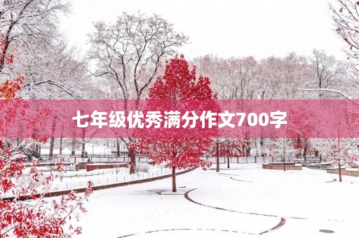 七年级优秀满分作文700字
