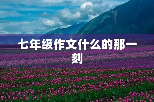 七年级作文什么的那一刻 七年级作文什么的那一刻