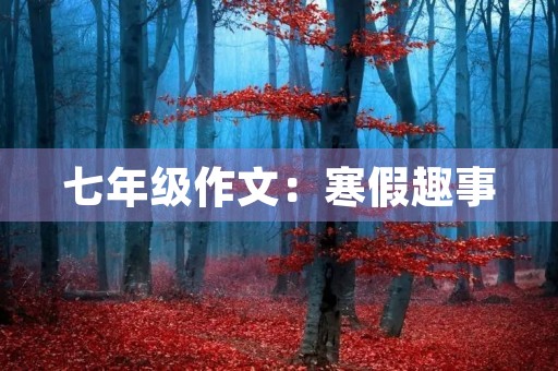 七年级作文：寒假趣事