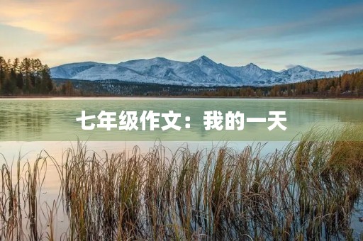 七年级作文：我的一天