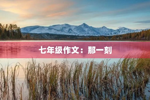 七年级作文：那一刻，我永远难忘